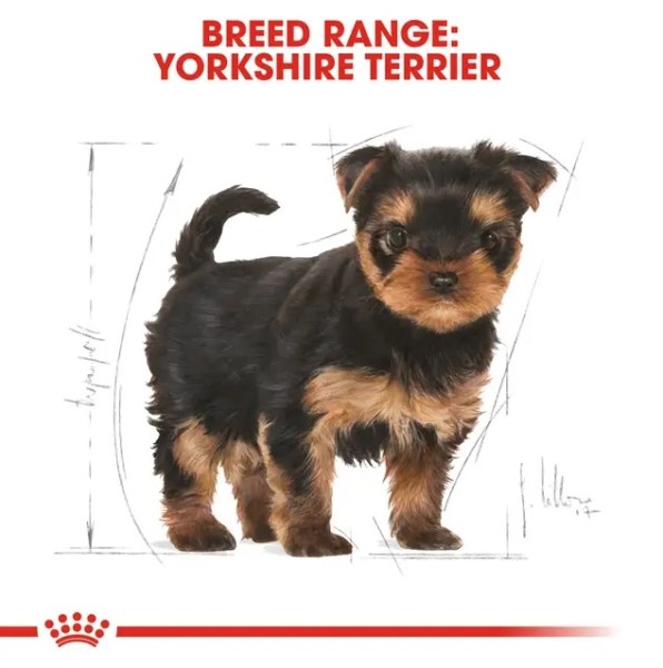 Royal Canin Yorkshire Terrier Puppy - Суха храна за подрастващи йоркширски териери от 2- до 10-месечна възраст